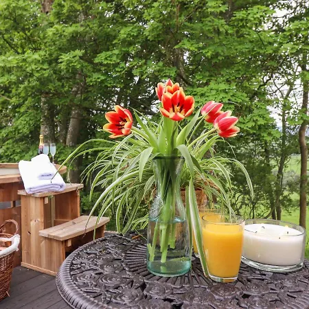 Yew Tree Cabin * Пенрит